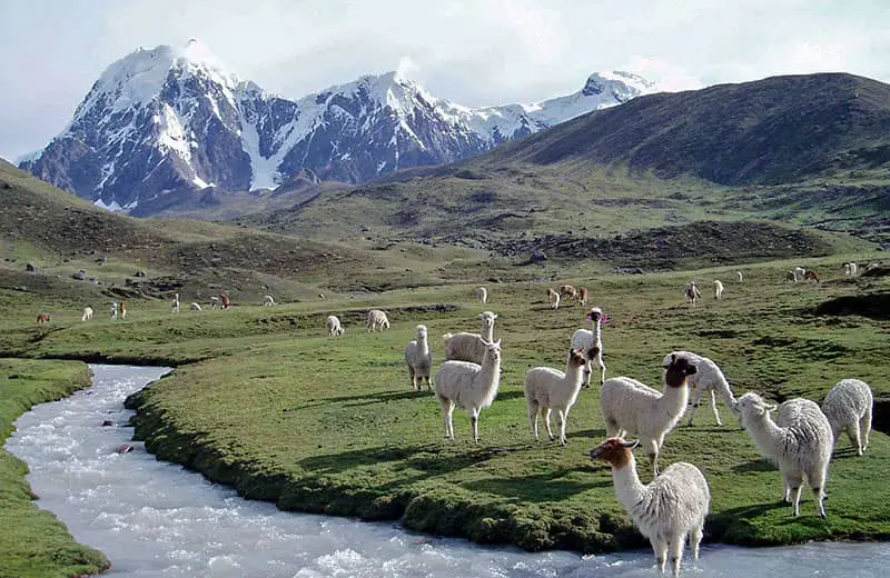 Ausangate Trek
