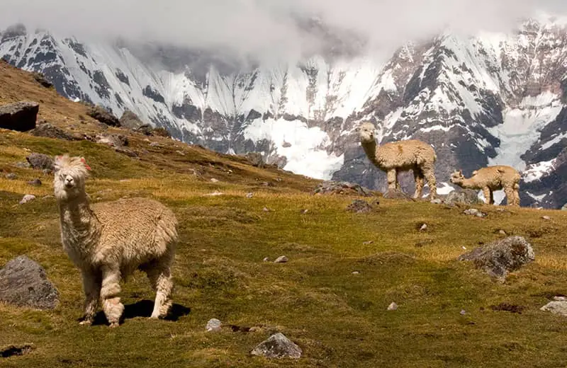 Ausangate Mountain