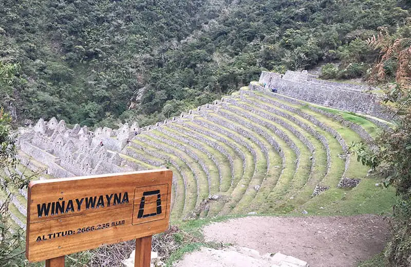 Inca Trail trek to Machu Picchu