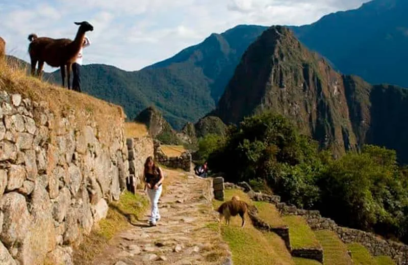 Machu Picchu Tours