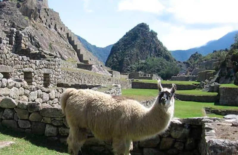 Machupicchu Tours