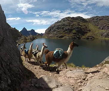 Lares Trek Via Patacancha Willoq 4 Days